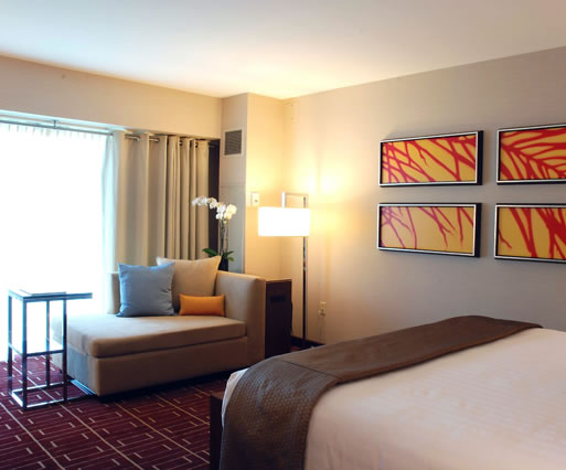 Guestroom Guestroom Renovation
