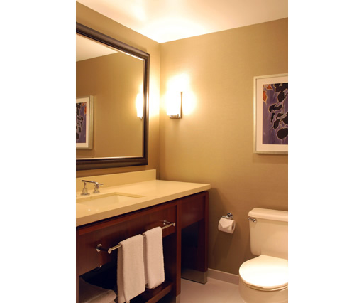 Guest Bath Guest Bath Renovation